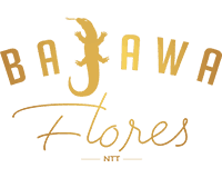 Bajawa