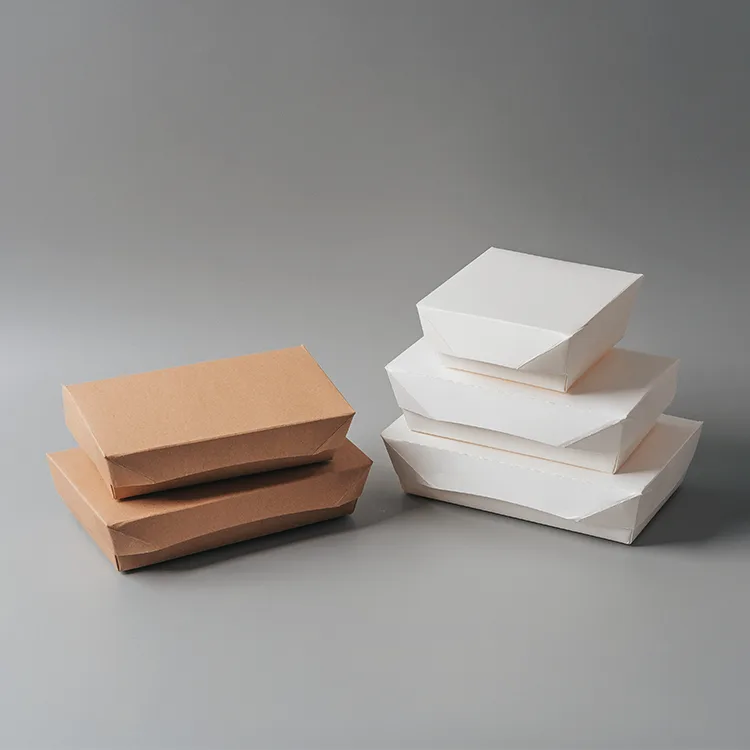 Paper Lunch Box Forming