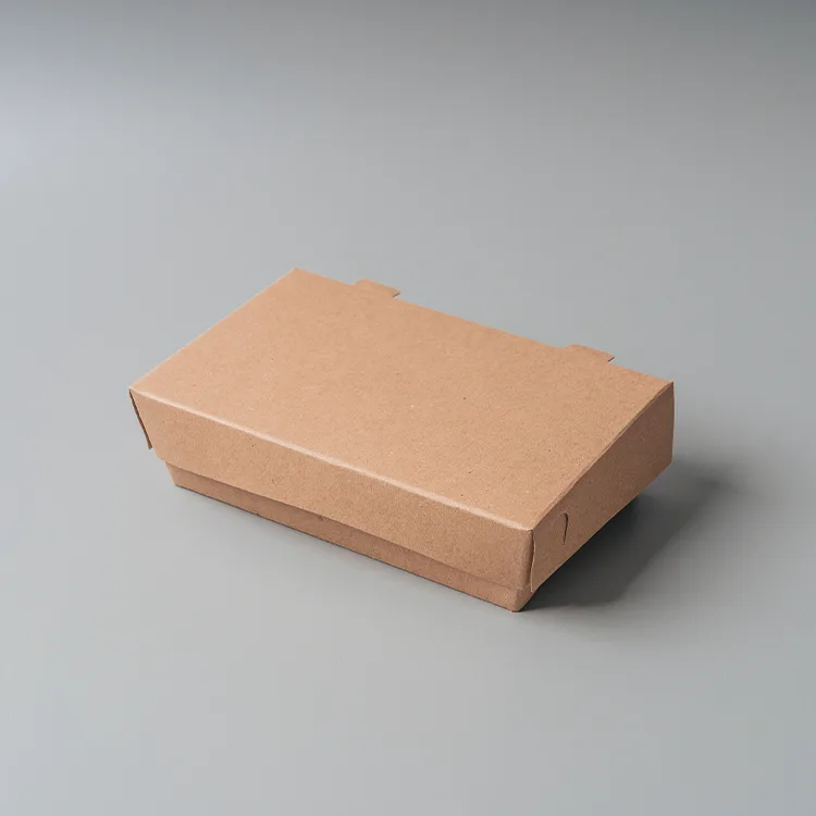 Paper Lunch Box Lembaran