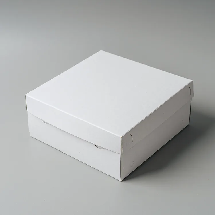 Dus Nasi Duplex 20x20 cm